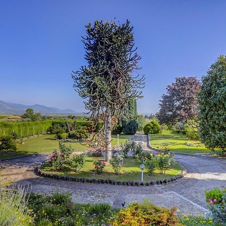Villa Luce-Casa Vacanza Con Vista Panoramica Mare. Velletri Bagian luar foto